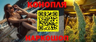 стаф Будённовск