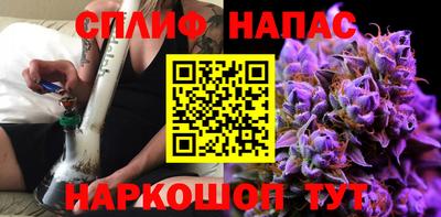 стаф Будённовск