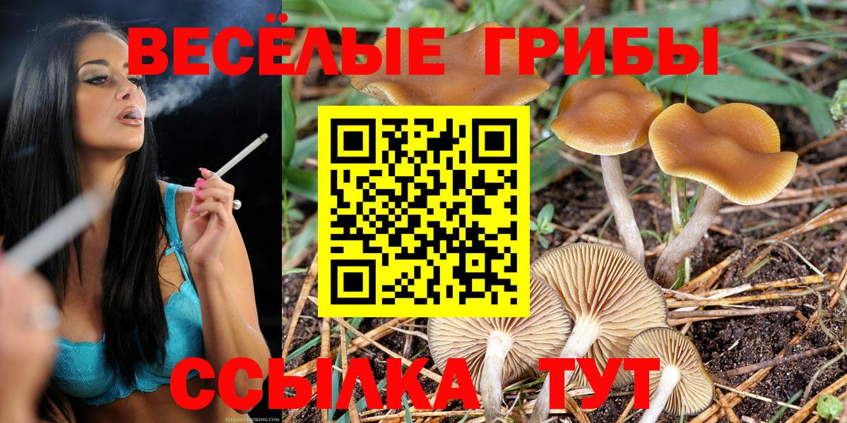Псилоцибиновые грибы Cubensis Кстово