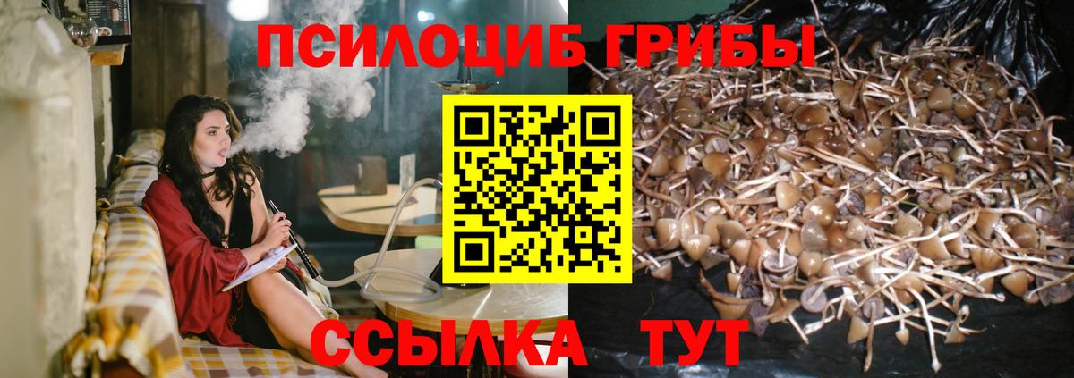 Кстово  Псилоцибиновые грибы ЛСД  Галлюциногенные грибы прущие грибы  Вход с VPN 